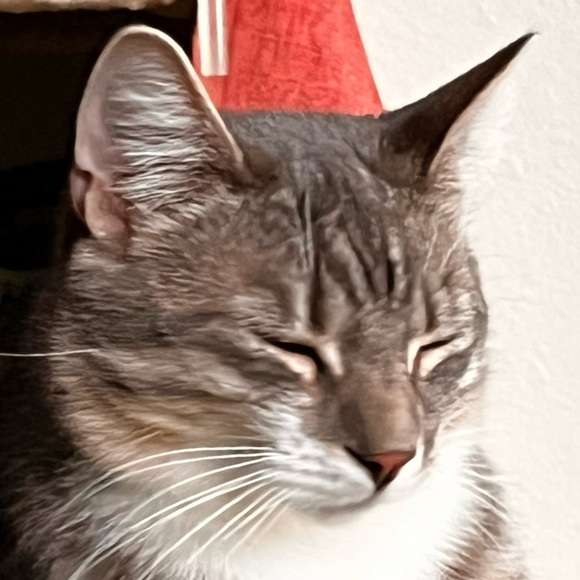 mawuebker